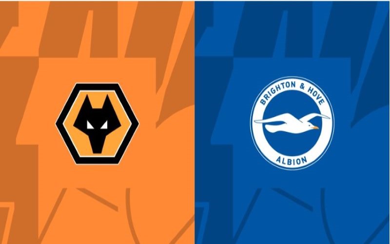 Wolves vs Brighton