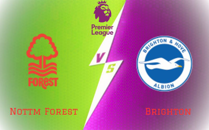 Nottm Forest vs Brighton